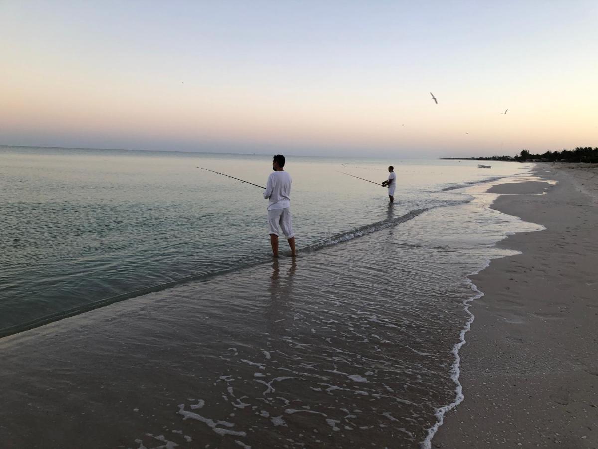 Playa 55 Beach Escape - Adults Only Guesthouse Celestun Εξωτερικό φωτογραφία