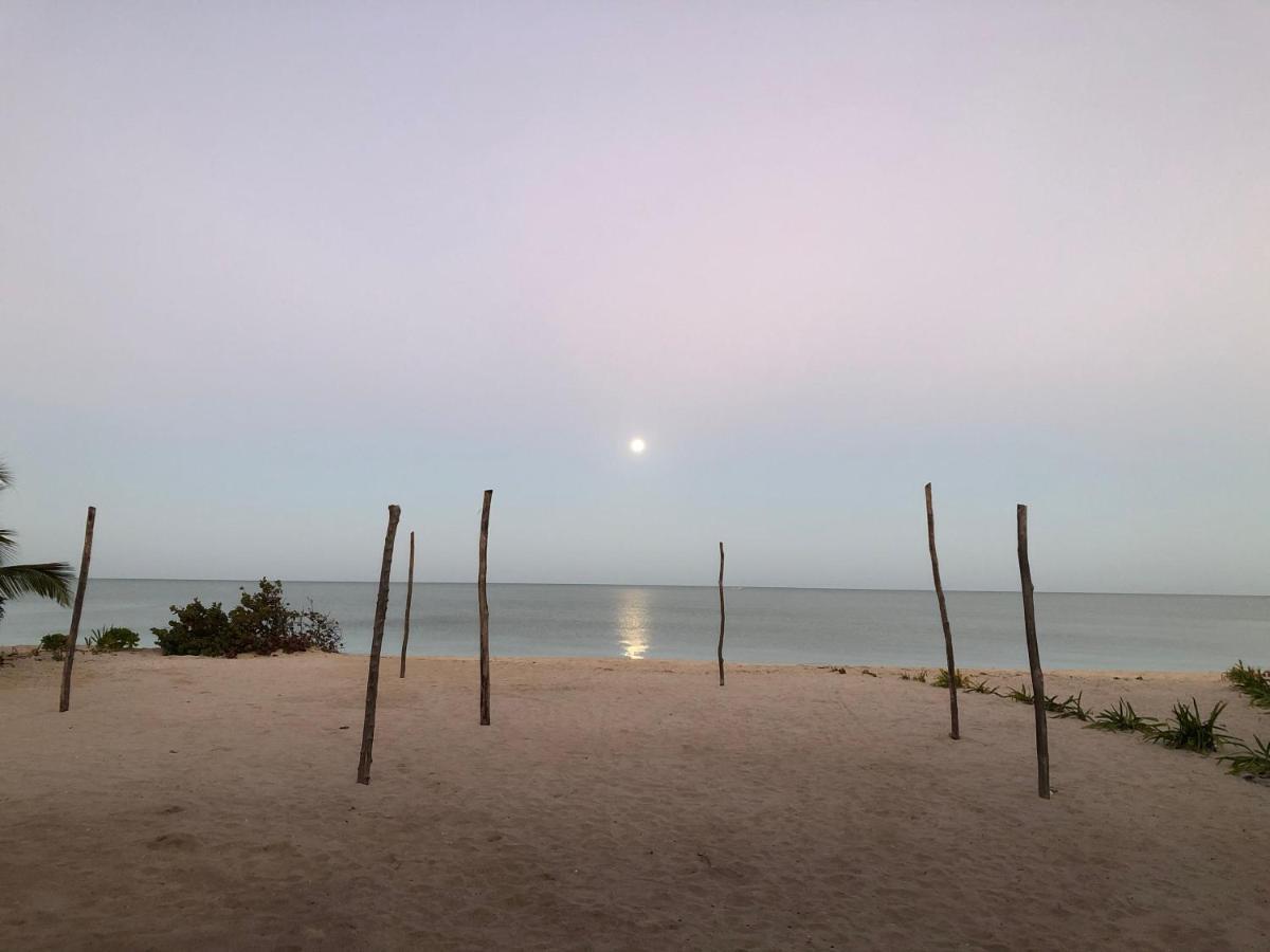Playa 55 Beach Escape - Adults Only Guesthouse Celestun Εξωτερικό φωτογραφία